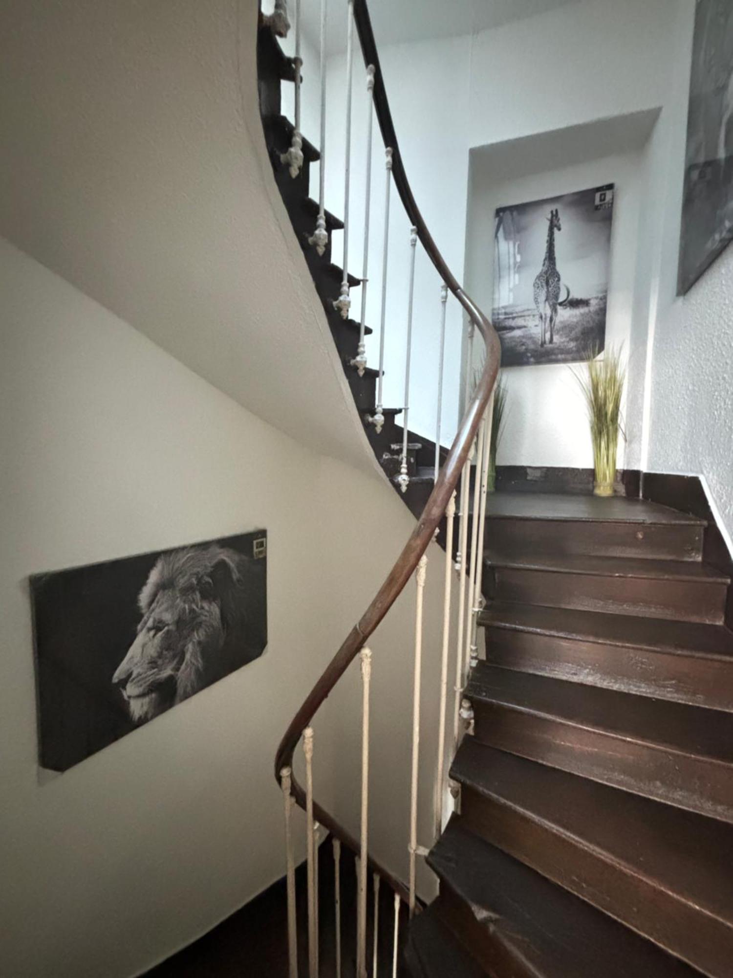 Apartamento Le Duplex Safari Saint-Aignan  Exterior foto